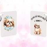 Shih tzu chien – Image 24