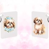 Shih tzu chien – Image 23