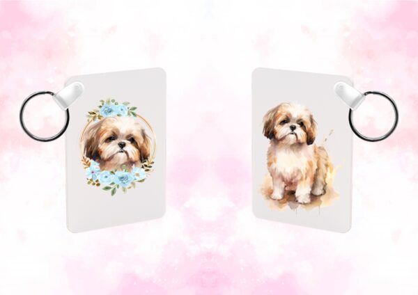 Shih tzu chien – Image 23