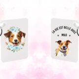 Jack Russel – Image 21