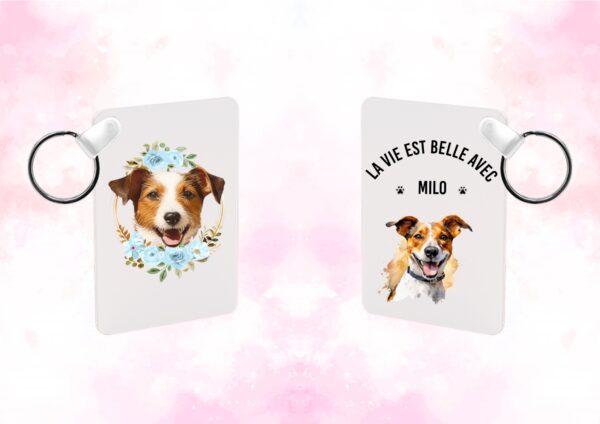 Jack Russel – Image 21