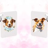 Jack Russel – Image 20