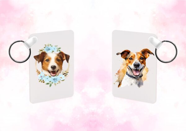 Jack Russel – Image 20