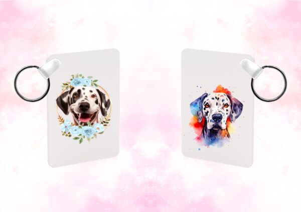 Dalmatien chien – Image 21