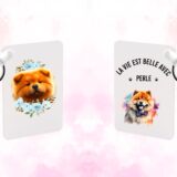 Chow chow chien – Image 22