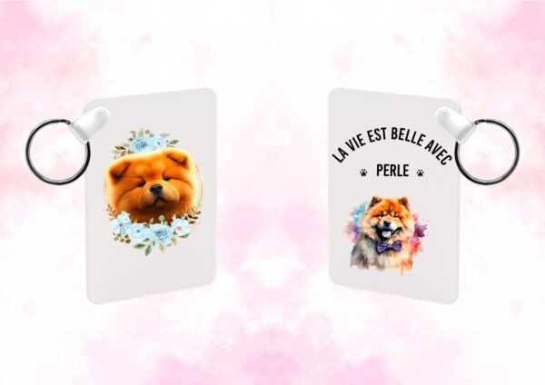 Chow chow chien – Image 22
