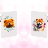 Chow chow chien – Image 21