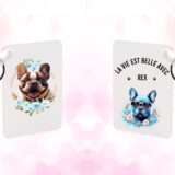 Bouledogue Français chien