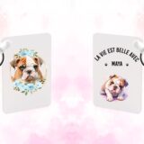 Bulldog Anglais – Image 21