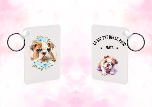 Bulldog Anglais – Image 21