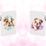 Bulldog Anglais – Image 20
