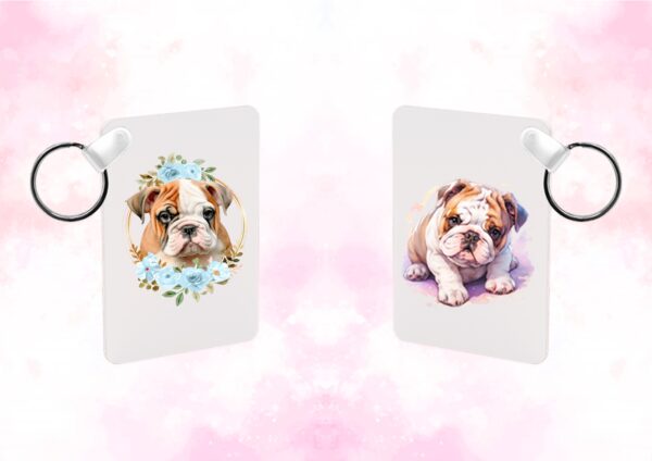 Bulldog Anglais – Image 20