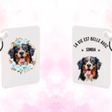 Bouvier Bernois Accessoires – Image 22