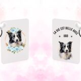 Border Collie – Image 22