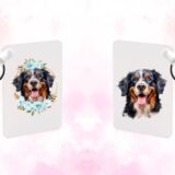 Bouvier Bernois Accessoires – Image 21