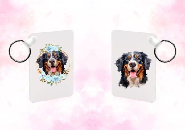 Bouvier Bernois Accessoires – Image 21