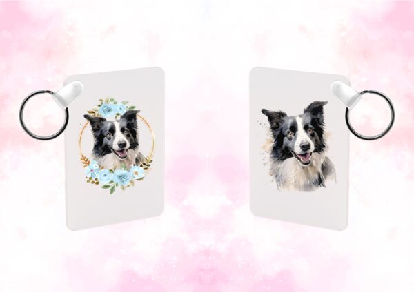 Border Collie – Image 21