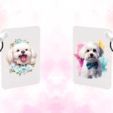 Bichon d'amour – Image 22