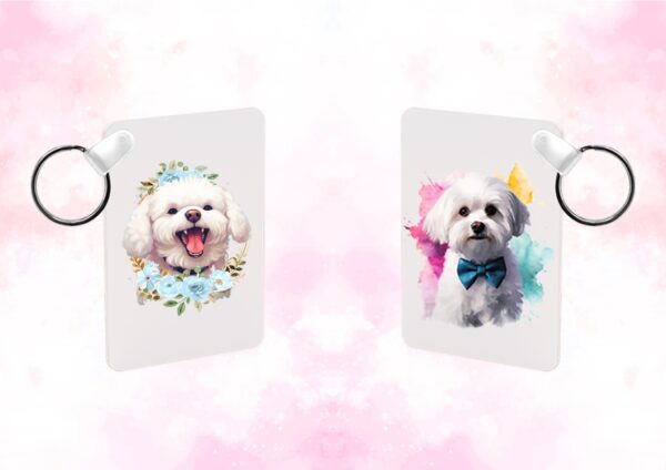 Bichon d'amour – Image 22