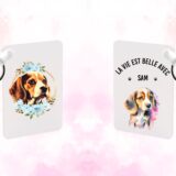 Beagle chiot – Image 21