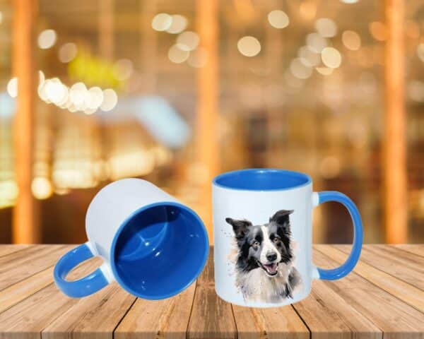 Border Collie – Image 18