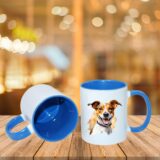 Jack Russel – Image 19