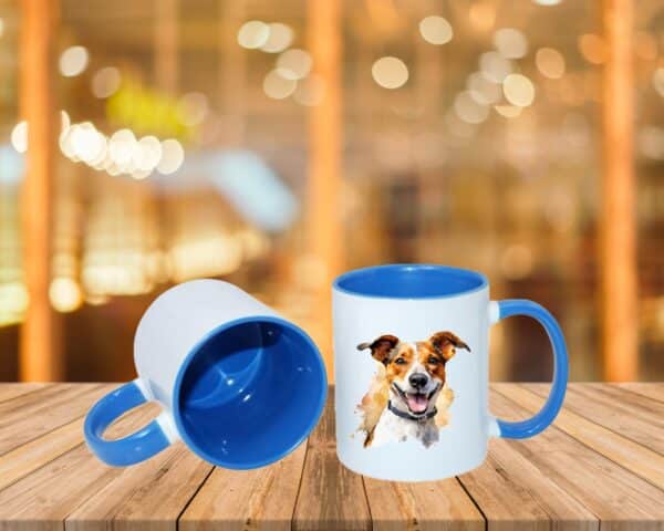 Jack Russel – Image 19