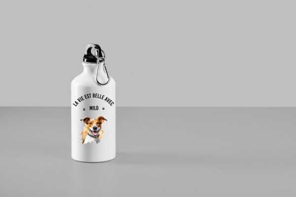 Jack Russel – Image 17