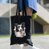 Border Collie – Image 16