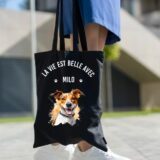 Jack Russel – Image 16