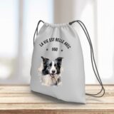 Border Collie – Image 15