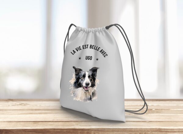 Border Collie – Image 15