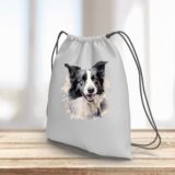 Border Collie – Image 14