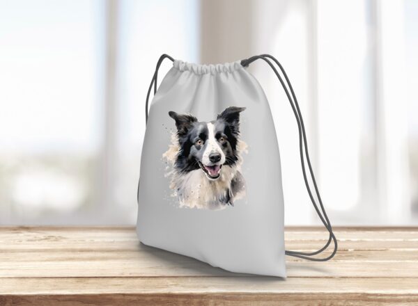 Border Collie – Image 14
