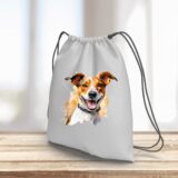 Jack Russel – Image 13