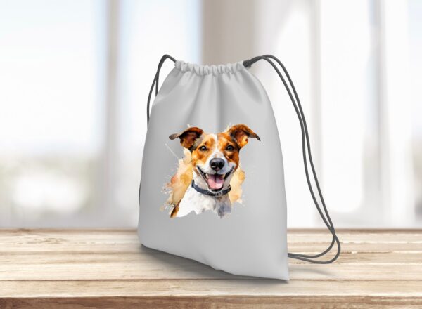 Jack Russel – Image 13