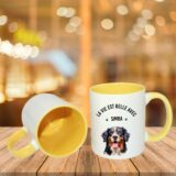 Bouvier Bernois Accessoires – Image 14