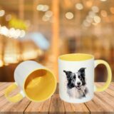 Border Collie – Image 12
