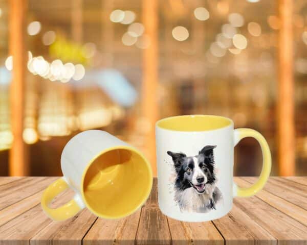 Border Collie – Image 12