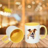 Jack Russel – Image 11