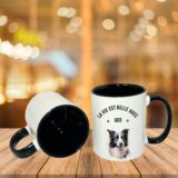 Border Collie – Image 11