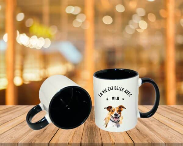Jack Russel – Image 10