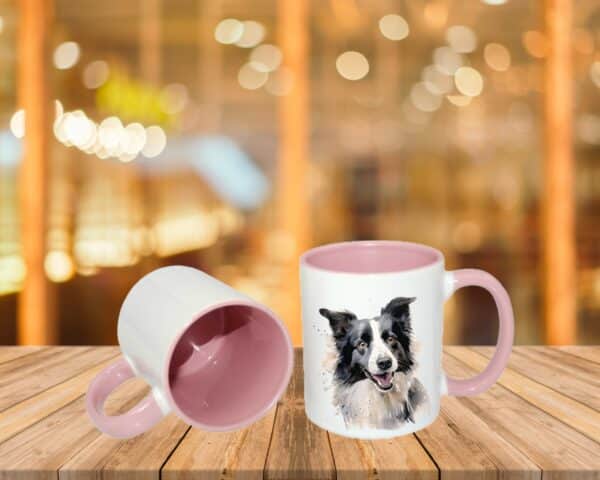 Border Collie – Image 9
