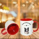 Border Collie – Image 8