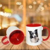 Border Collie – Image 7