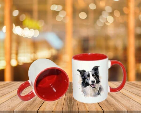 Border Collie – Image 7