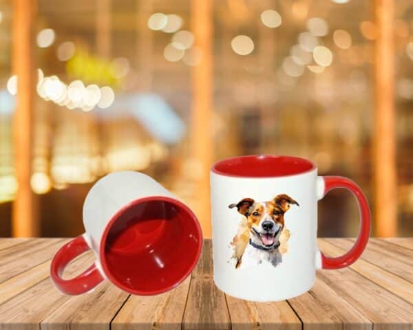 Jack Russel – Image 7