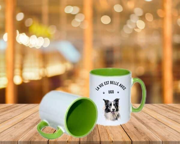 Border Collie – Image 6