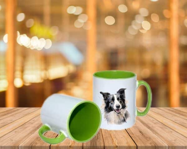 Border Collie – Image 5