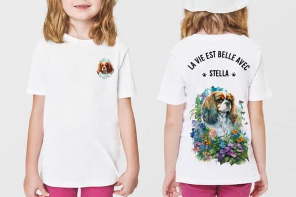 Cavalier King Charles chien – Image 3